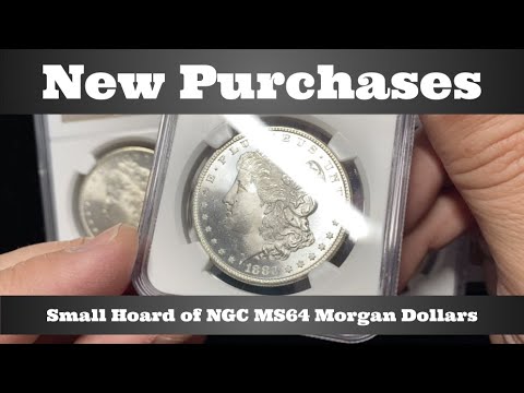 New Purchases - Small Hoard of NGC MS64 Morgan Dollars - Let's Take a Look!