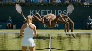 Animals Playing Tennis Is the Funniest Thing Ever 😂🎾
