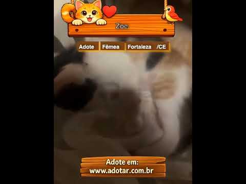 Vídeo de Zoe 
