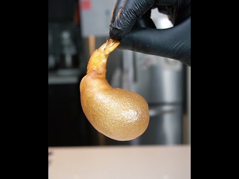 Bubble Shrimp! (SO EASY)