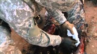 CAE Caesar Trauma Patient Simulator