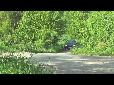 1 SJS MaxiOes5 Czernichów Pękala /Miller