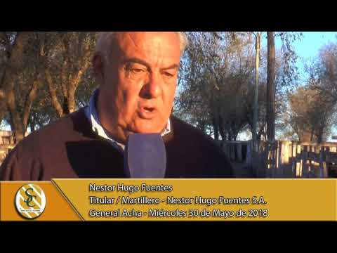 30-05-18 Nota Nestor H. Fuentes - Titular / Martillero - Nestor Hugo Fuentes S.A. - General Acha