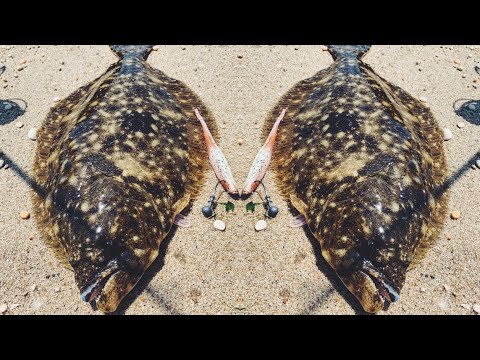 Fluke Fishing - Jigging Up a Limit From Shore - 2021 Flounder Season Around the Corner!