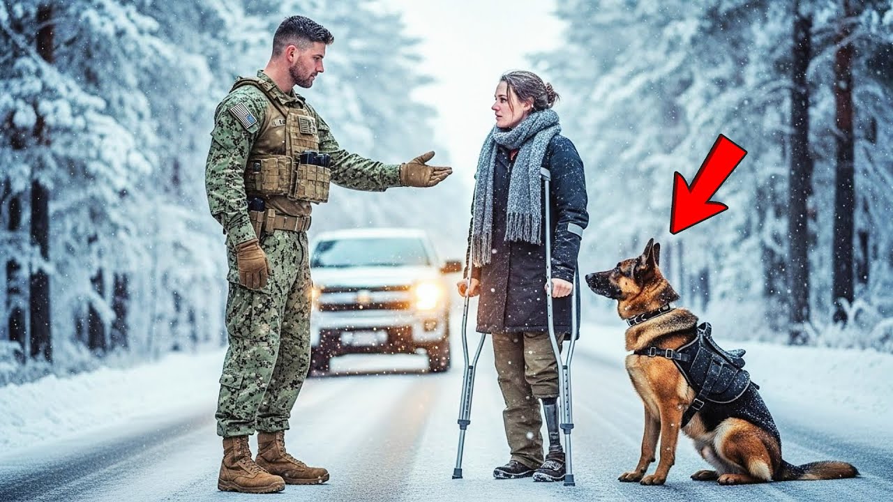 “Ride With Me…” the Navy SEAL Said — The Blizzard That Gave Them Both a Way Home