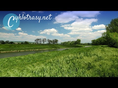 Baťův kanál (Funkcionalismus, vzácní brouci a italská zmrzlina)