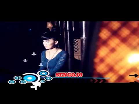 Isun sing biso lali(14)