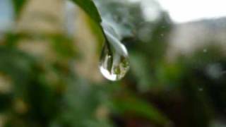 Billy-Justin Hayward