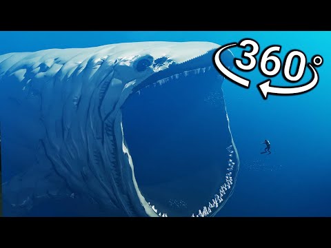 360° VR - BLOOP Eats You
