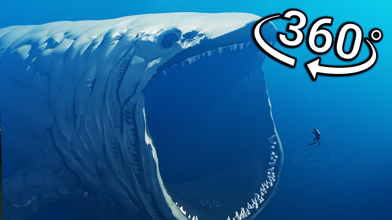 360° VR - BLOOP Eats You