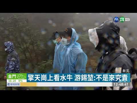 擎天崗上看水牛 游錫堃:不是來究責
