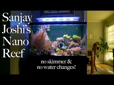 Sanjay Joshi's Nano Reef Tank is 23 YRS OLD, No Skimmer, No Water Changes!