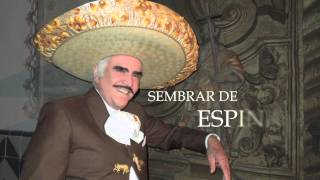 Vicente Fernández - Decir Amante