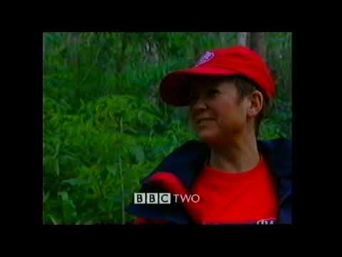 BBC Two-Programmübersicht nach „In einem Land vor unserer Zeit II: Das große Tal-Abenteuer“ – Mon...