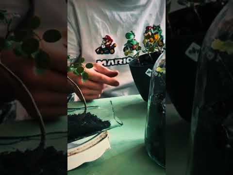 Heute mal ein etwas anderes Thema   / smash den abboooo Button !! 😘