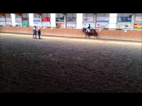 "Van Filia" Van Gogh- Flavio- Donnerhall