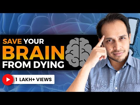 How FOOD affects your BRAIN