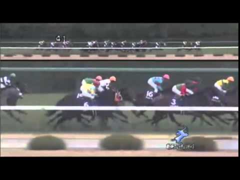 朝日杯フューチュリティステークス2014