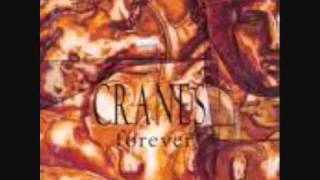 Cranes -  Everywhere
