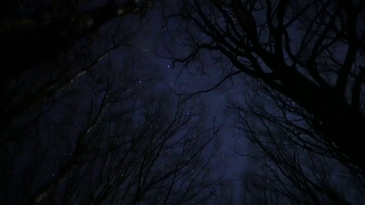 Rebild National Park - Stargazing