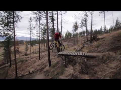 Red Bull Phenom: Tom van Steenbergen