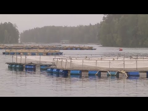 Концепция развития агропромышленного и рыбохозяйственного комплекса Республики Карелия до 2025 года