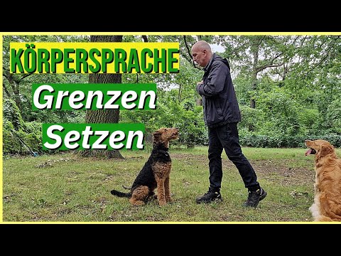 Grenzen setzen und souverän führen mit Körpersprache 2/3