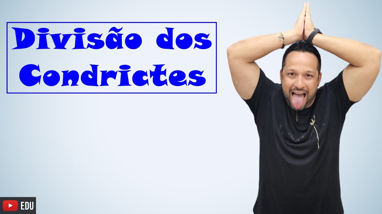 Classificação dos Condrictes - Holocéfalos (Holocephali) e Elasmobrânquios (Elasmobranchii)