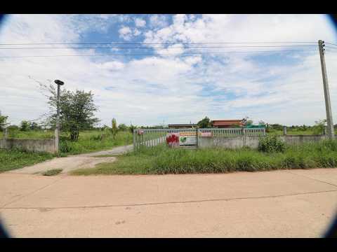 25 Rai Kratom Farm & House for Sale, Nong Bua Lam Phu, Pa Mai Ngam, Muang Nong Bua Lam Phu, Nong Bua Lam Phu, , 40,220 sqm, Land For Sale, by วีรภัทรา ดาร์เปอร์, 500477343 - DDproperty.com