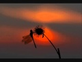 Tiamat - A Pocket Size Sun