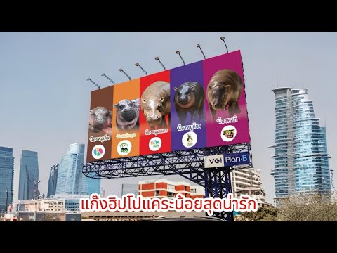 คลิกเพื่อดูคลิปวิดีโอ