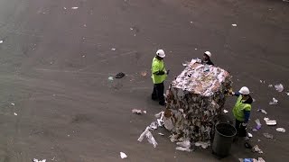 Recycling | Bay Curious
