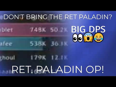 ME: All we need is a Ret. Paladin - WIFE: Don't bring a Ret. Paladn - The Ret. Paladin: Big DPS