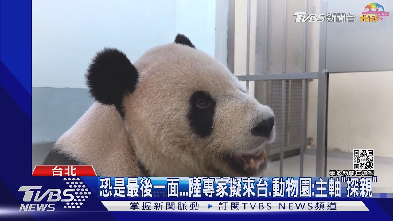 恐是最後一面 陸專家擬來台、動物園:主軸「探親」