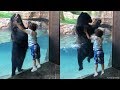 Leap for joy! Bear jumps with boy at Nashville Zoo