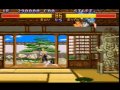 Fighter S History Super Nintendo GamePlay Ray