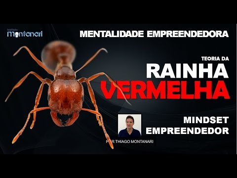 Mentalidade Empreendedora | Mindset Empreendedor | Rainha Vermelha Video