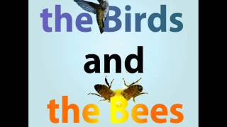 The birds and the bees, by Attila Zoller - Antonio Triolo, guitar