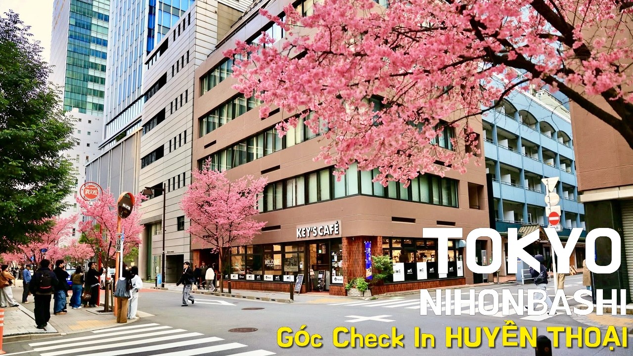 Điểm Check In Huyền Thoại Mùa Hoa Anh Đào ở Tokyo | Tokyo Nihonbashi Akame Zakura | Du lịch Nhật Bản