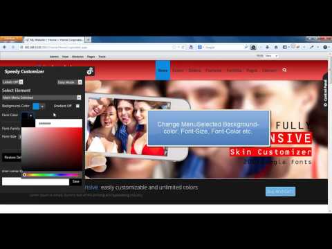 Deshi DotNetNuke Skin - Skin Customizer Intro - SpeedyApplication.com