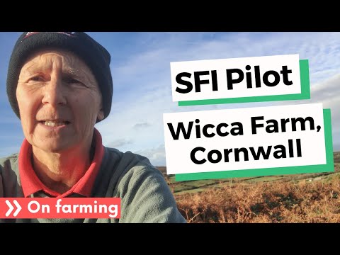 SFI pilot video diary - Hear from Rose Nankervis of Wicca Farm, Cornwall
