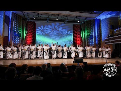 Ansamblul Timișul Tineret - Soroc