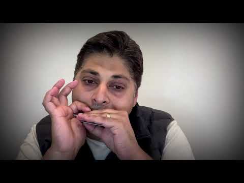 Suno Aisha | Aisha | Harmonica Cover