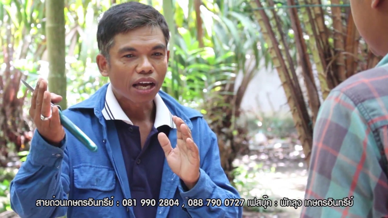 Suan Sala Lung Than