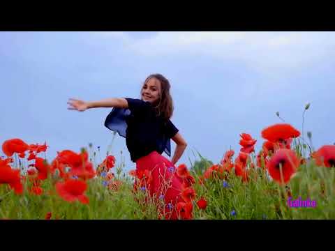 DNDM 🥀  We Fly🥀 2025 Retro