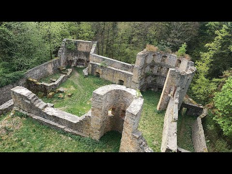 Oberpfalz bei Pösing - 14-04-2024