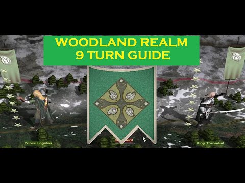 Divide and Conquer v5 - Quick Guide - The Woodland Realm [DAC v5]