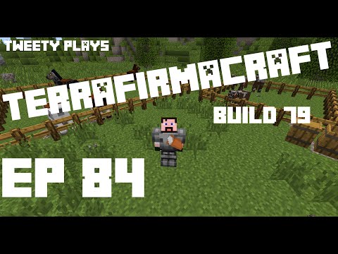 Tweety plays Terrafirmacraft ep 84 - Horses and Cows
