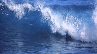 Transwave - Bluewave