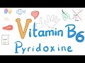 Vitamin B6 Pyridoxine Diet And Nutrition Series